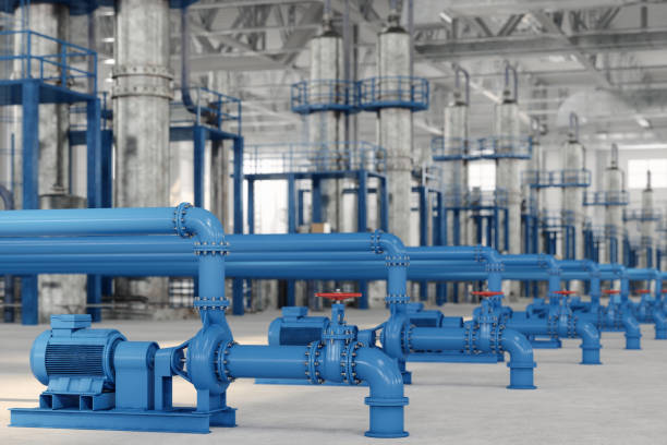 Best Local Plumber Services  in Fairwood, WA